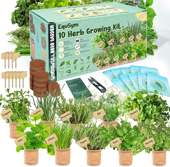 10 Herb Window Garden Kit Indoor, Complete Growing Kit with Pots & Soil
