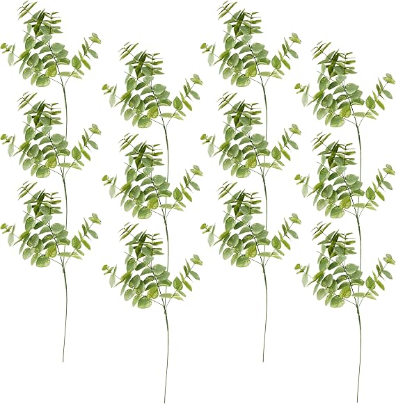 Ashland Green Eucalyptus Branch, 12 Pack