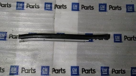 Genuine GM Parts - F-Molding (15100760)