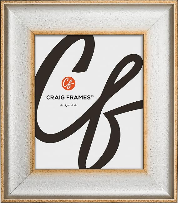 Craig Frames Cairo, 22x30 Picture Frame, Silver