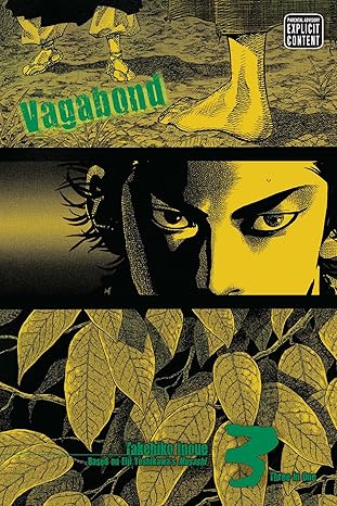 Vagabond (VIZBIG Edition), Vol. 3: One With Heaven and Earth