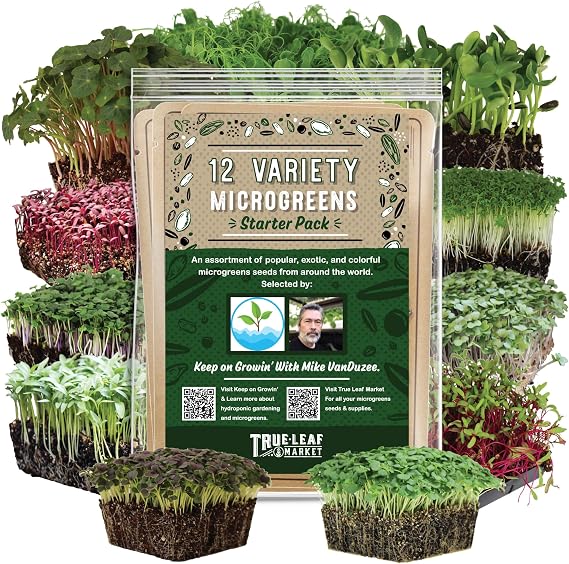 Mountain Valley Seed Co 12 Variety Pack Microgreens Seeds Kit Broccoli Seed | Sprouting Plus Purple Radish, Beet, Sunflower Microgreens, Peas, Shiso, Cilantro, Beet, Pak Choi, Korean Shiso, Cress & More